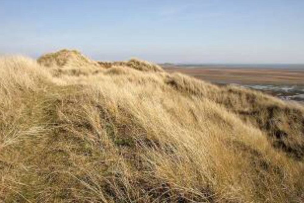 Did you know Dumfries in Scotland has some of the best beaches. Scottish Short Stays